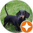 trix philippart profile picture